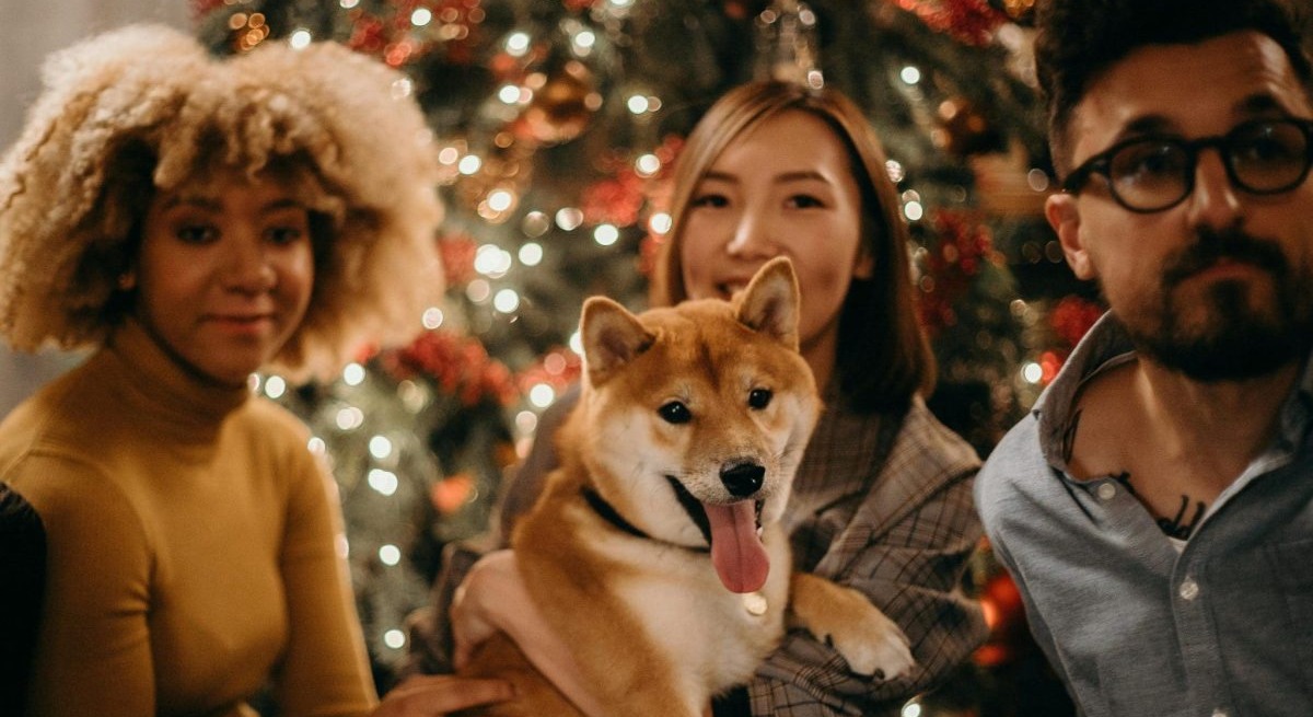 Smart Tips To Keep Dogs Safe This Holiday Season