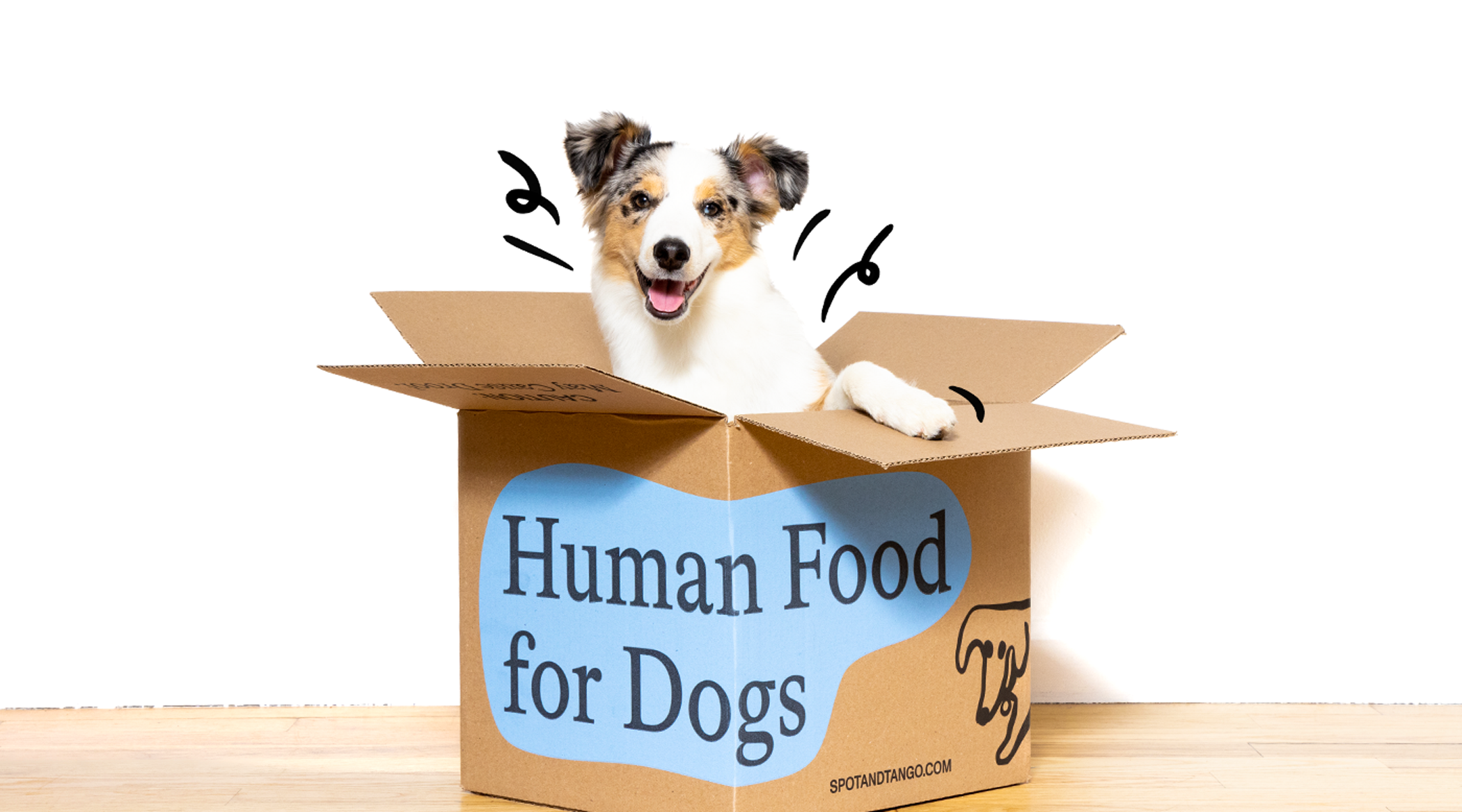 Off Personalized Meals Perfectly Matched For Your Pup!