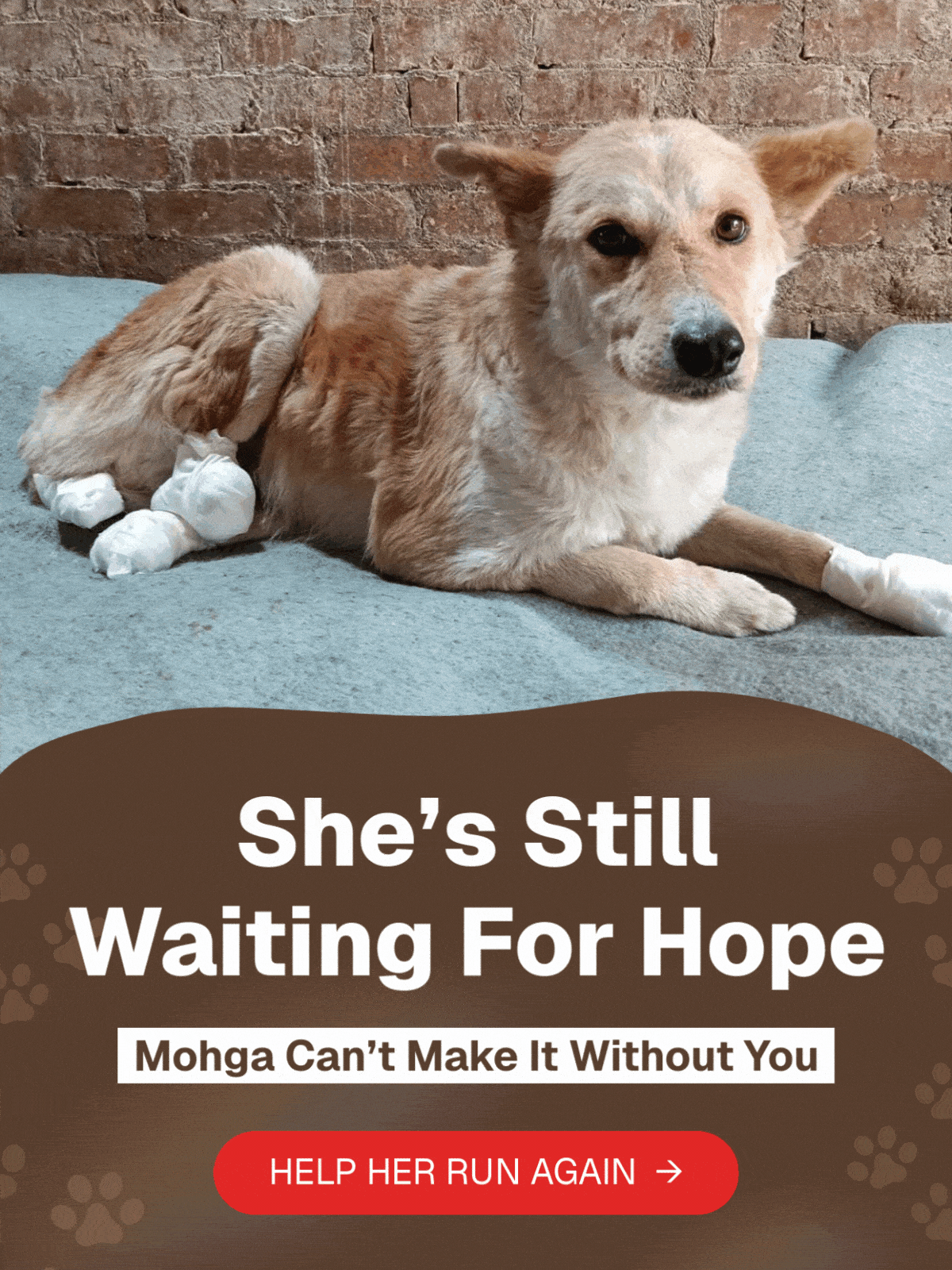 Steps Of Hope Project