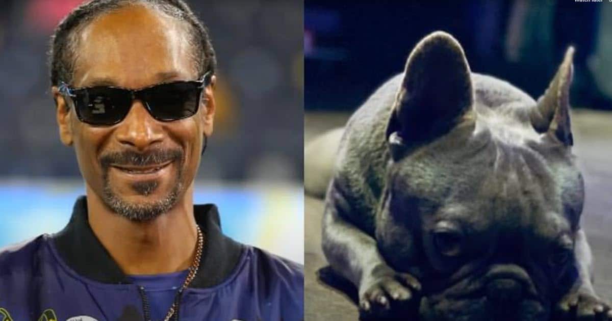Rapper Snoop Dogg Mourns Death of Beloved Dog Juelz With Emotional Tribute