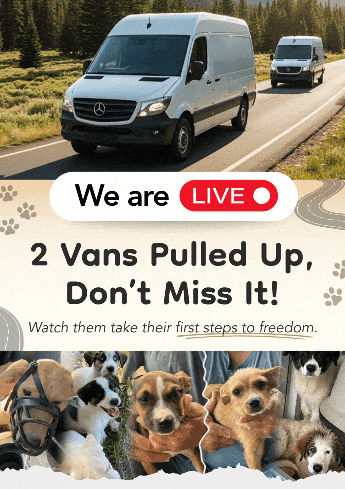 We’re LIVE, 2 Vans Pulled Up, Don’t Miss It! - Watch them take their first steps to freedom.