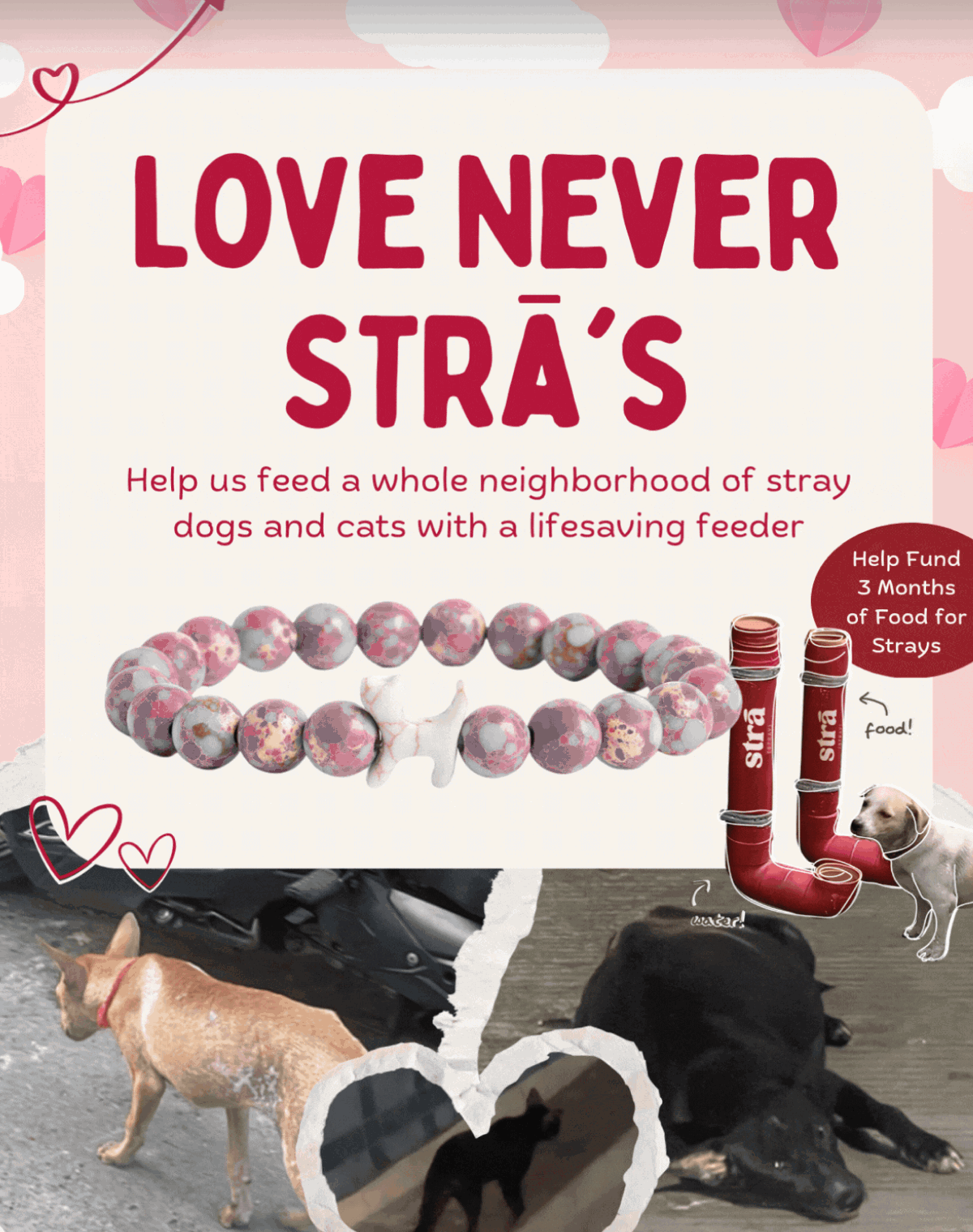 LOVE NEVER STRĀ'S Help us feed a whole neighborhood of stray dogs and cats with a lifesaving feeder