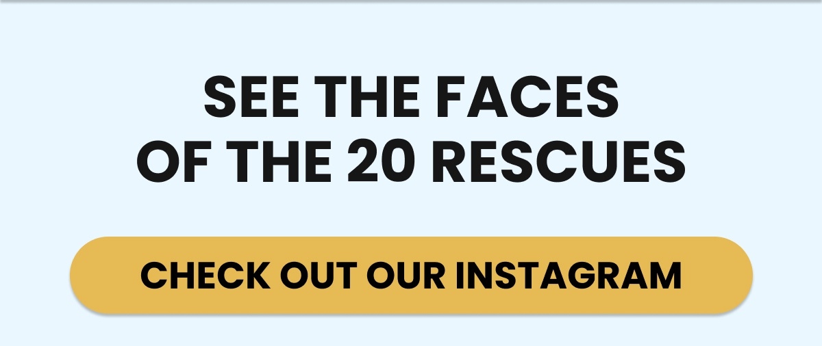 SEE THE FACES OF THE 20 RESCUES - CHECK OUT OUR INSTAGRAM