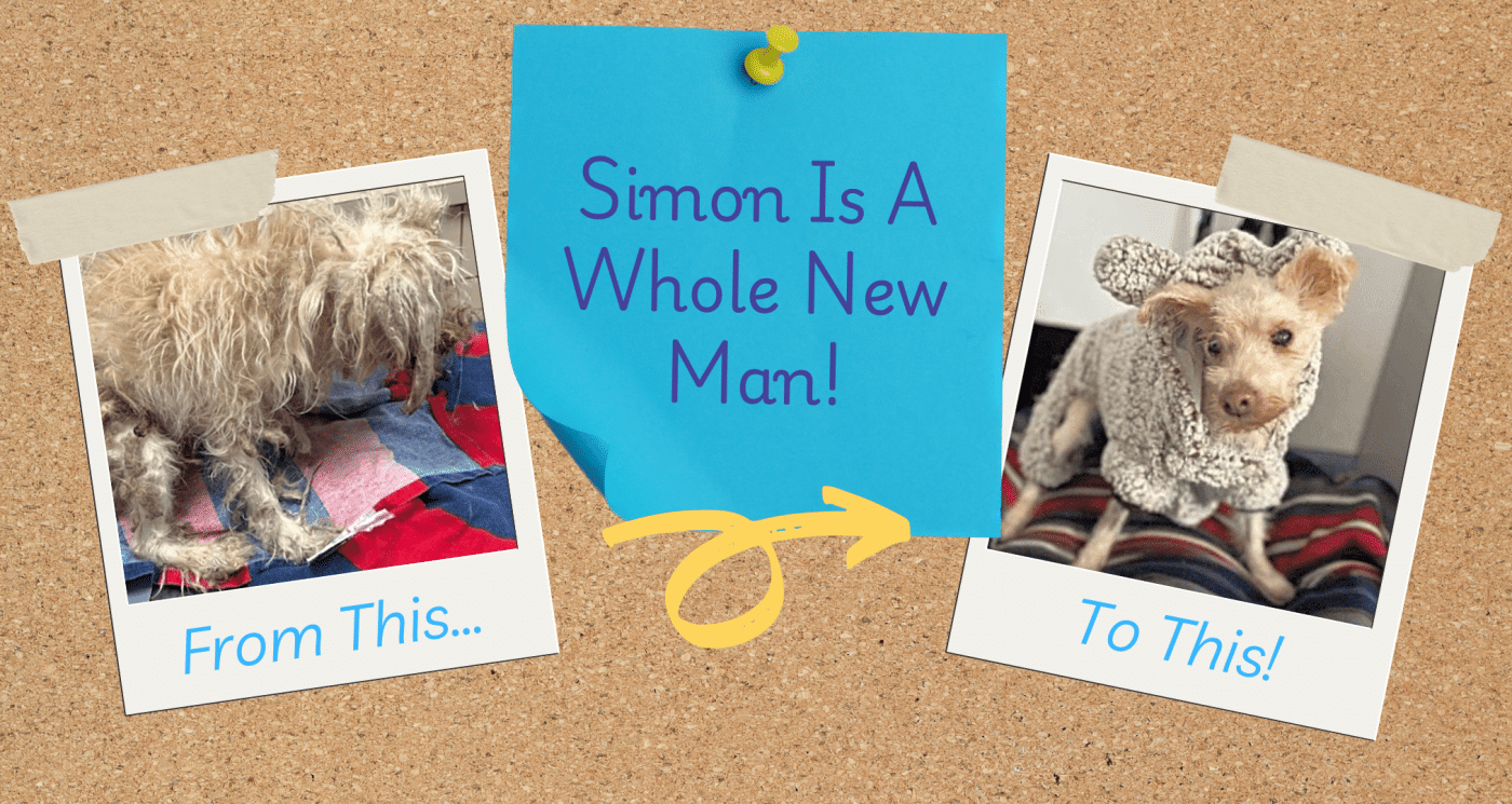 Simon Is A Whole New Man!