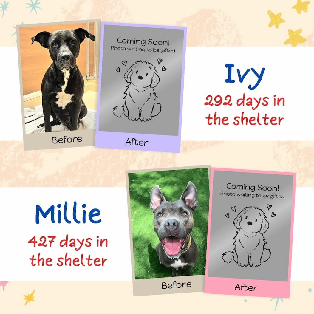 Ivy, Millie