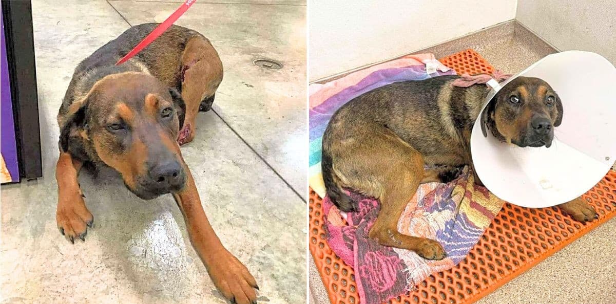Rye's Family Left Him Behind To Fight For His Life On The Streets