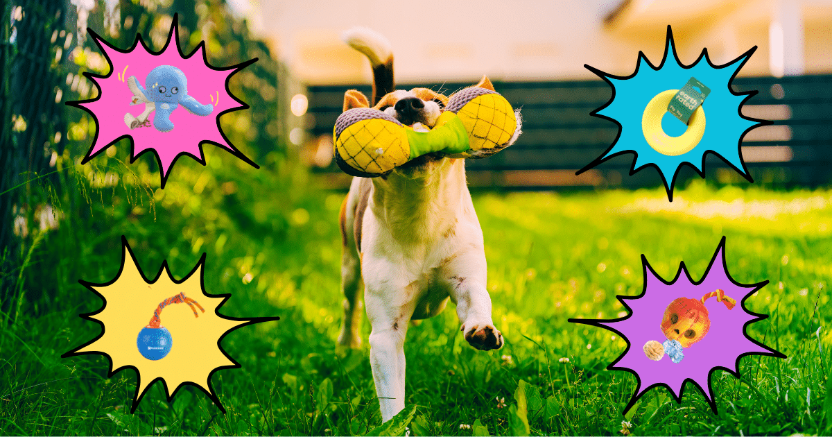 Backyard Bliss: 21 Tail-Wagging Amazon Deals On Outdoor Dog Essentials