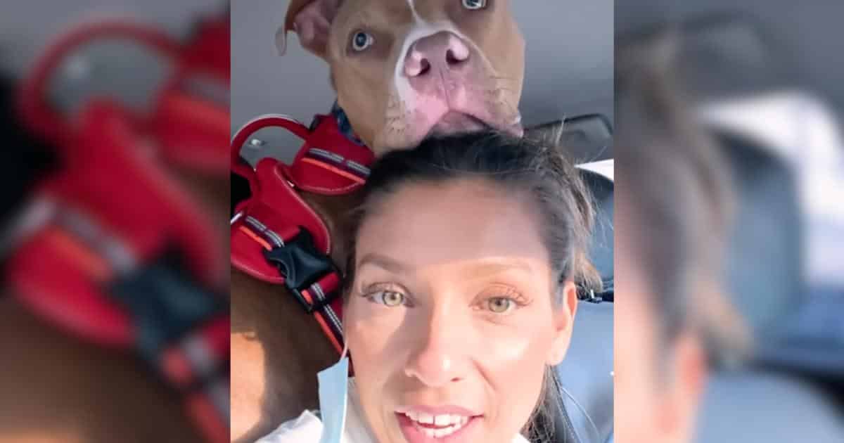 Pittie Becomes His Mom’s Constant Comfort After Heartache