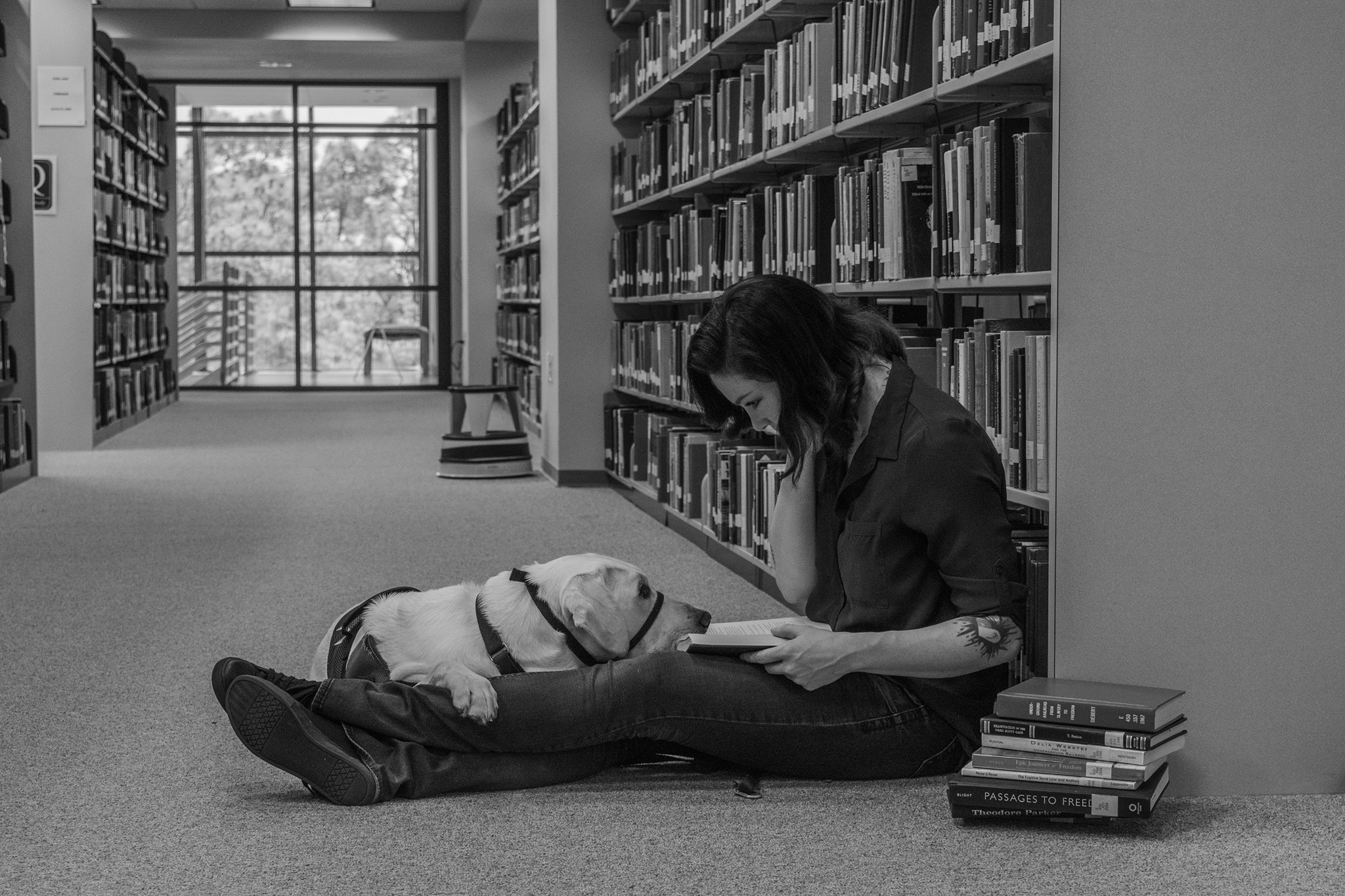 With Her Service Dog, Veteran Can Follow Her Dream Of Becoming A Doctor