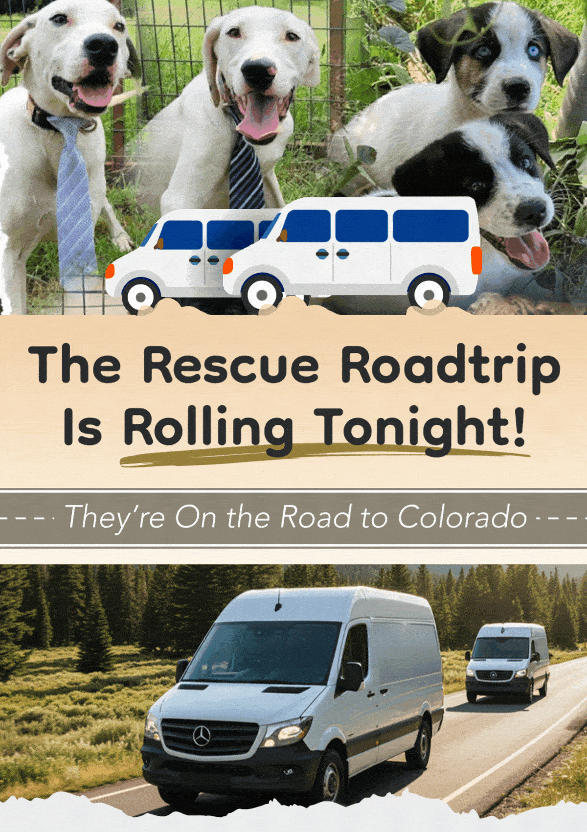 The Rescue Roadtrip Is Rolling Tonight! - They’re On the Road to Colorado