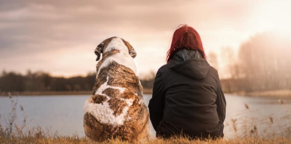 This Is What You Must Know About The Rainbow Bridge