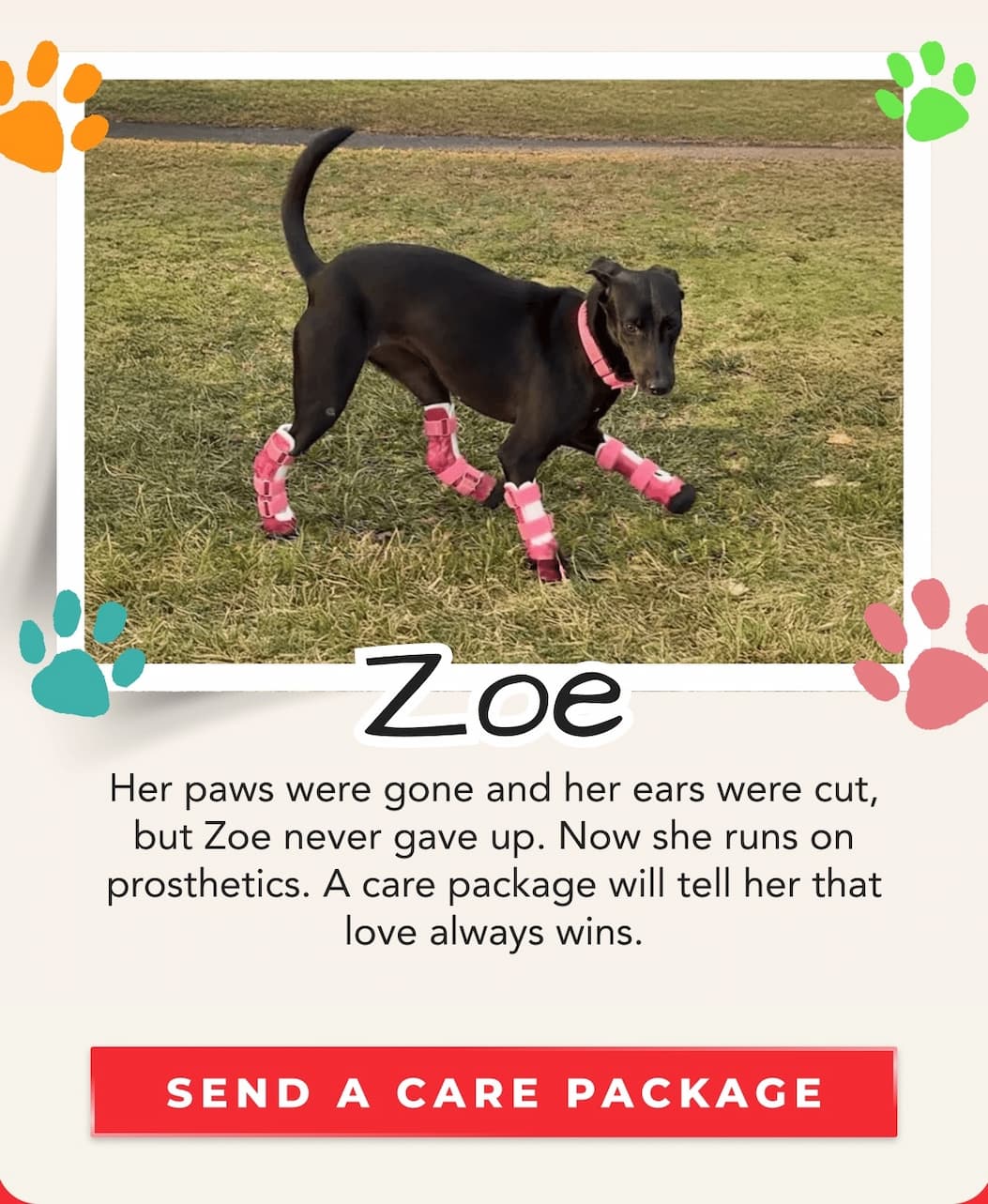 Zoe