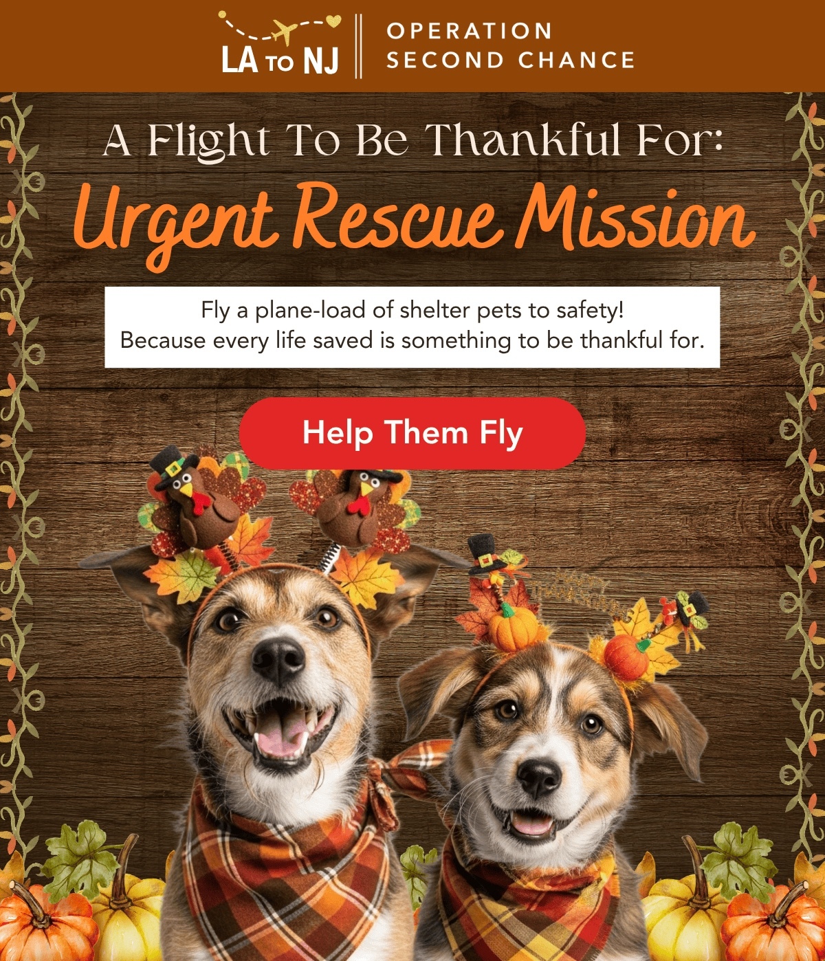 A Flight To Be Thankful For: Urgent Rescue Mission