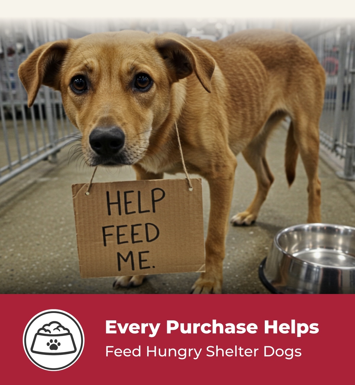 Every Purchase Helps Feed Hungry Shelter Dogs