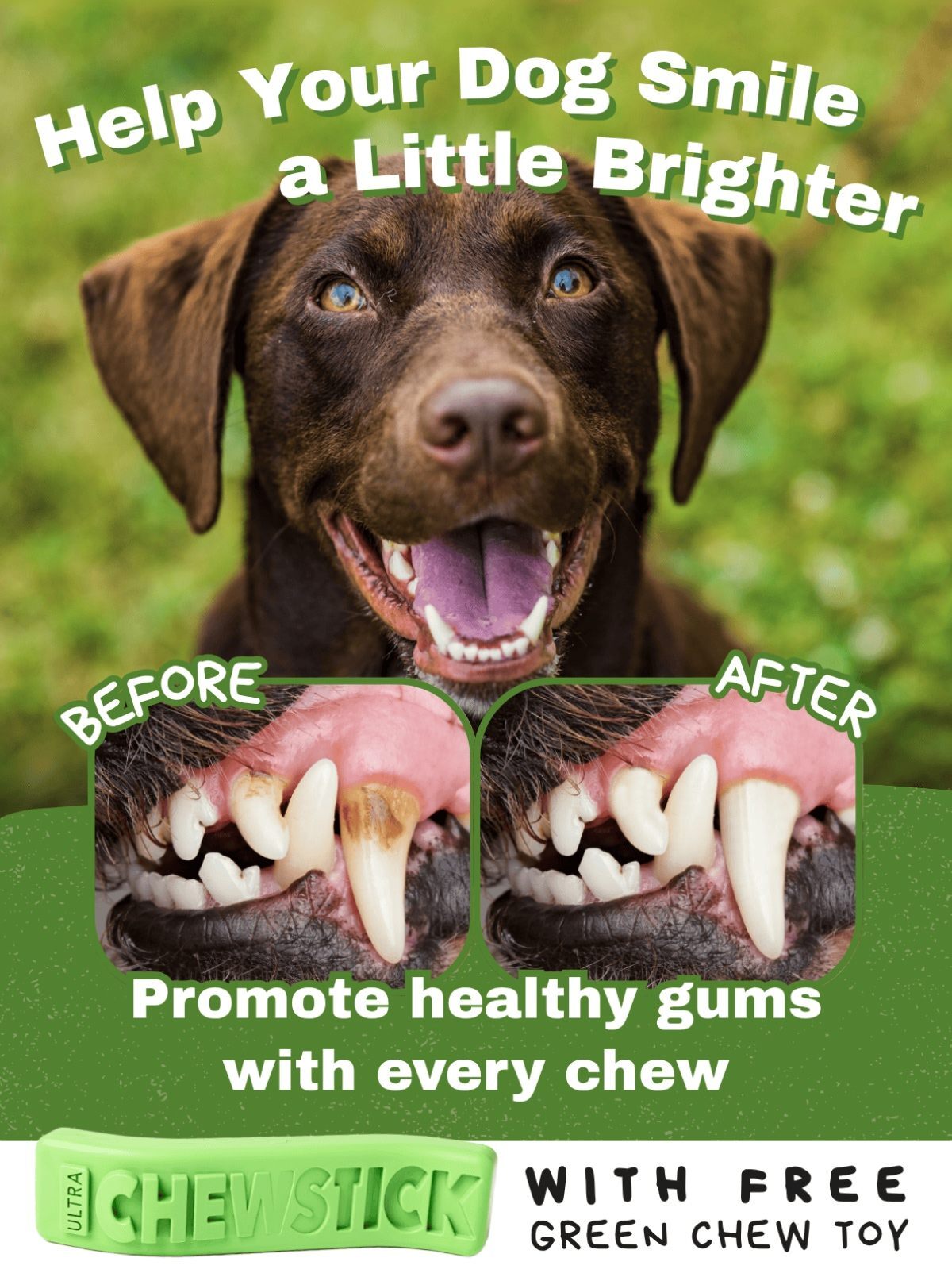 Help Your Dog Smile a Little Brighter - Promote healthy gums with every chew - WITH FREE GREEN CHEW TOY