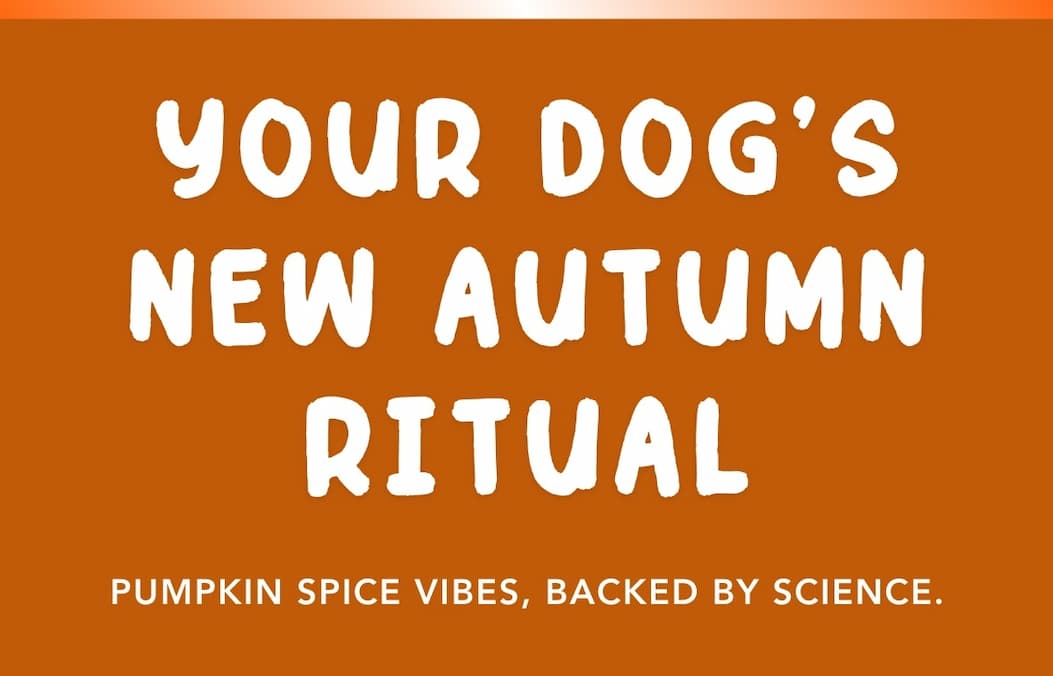 Your dog’s new autumn ritual - Pumpkin spice vibes, backed by science.