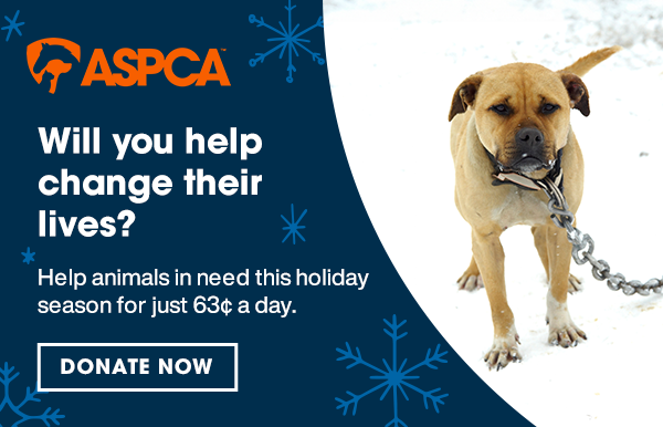 Will you help change their lives?