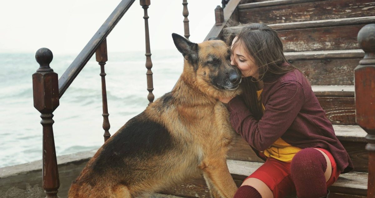 13 Dog Breeds That Instantly Sense When You’re Feeling Down