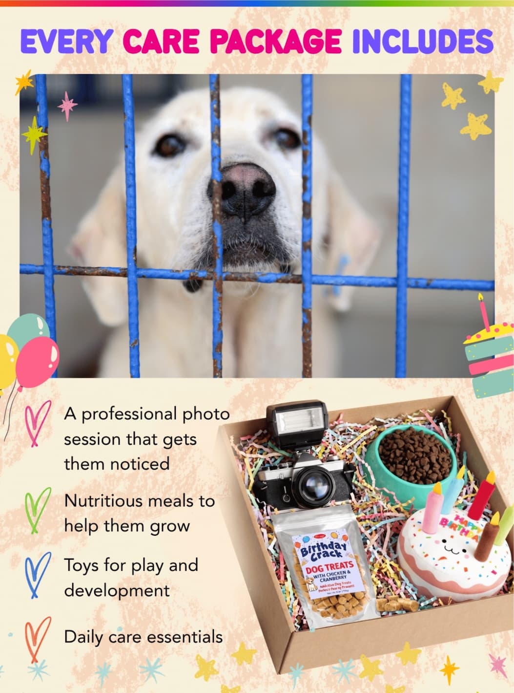 EACH CARE PACKAGE INCLUDES: A Professional Photo Session to help them finally get noticed, Nutritious Meals, Yummy Dog Treats, and A Toy To Play With.