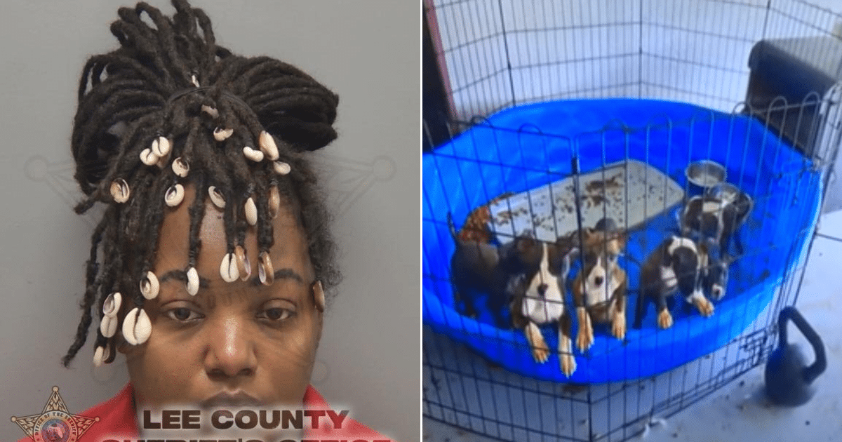 13 Puppies Trapped in 104-Degree Garage Without Food or Water Rescued