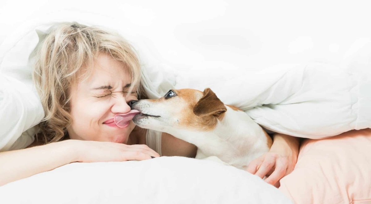 Top 9 Ways Dogs Bring Comfort in the Most Beautiful Ways