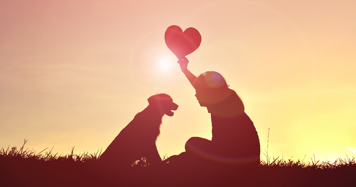 Serve Up Dinner & A Movie For Doggy Date Night