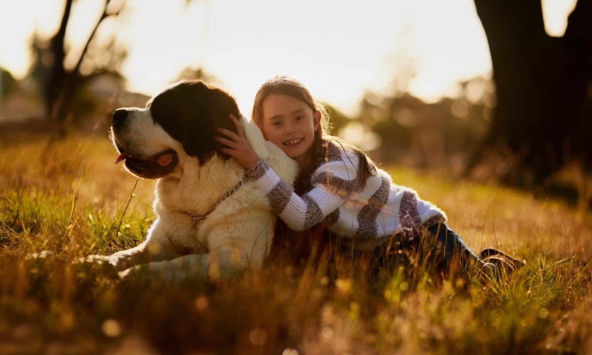 The 7 Ultimate Dog Breeds That Wear Loyalty Like A Cape