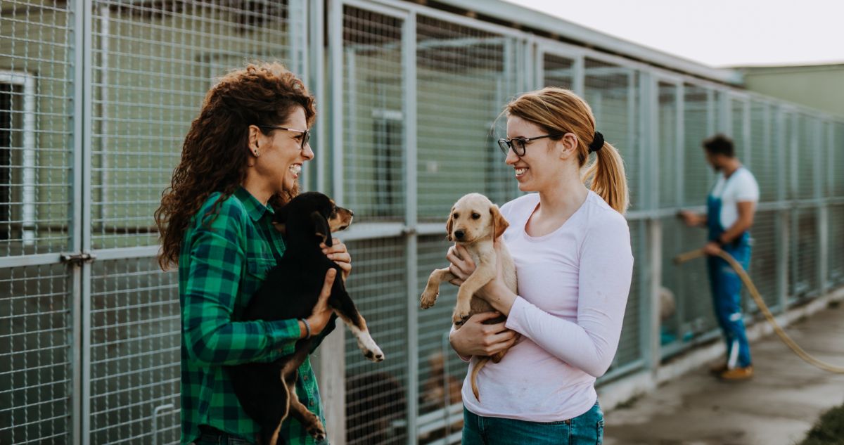 SpotOn Celebrates 5 Years By Giving $250,000 In Grants To Animal Welfare Organizations