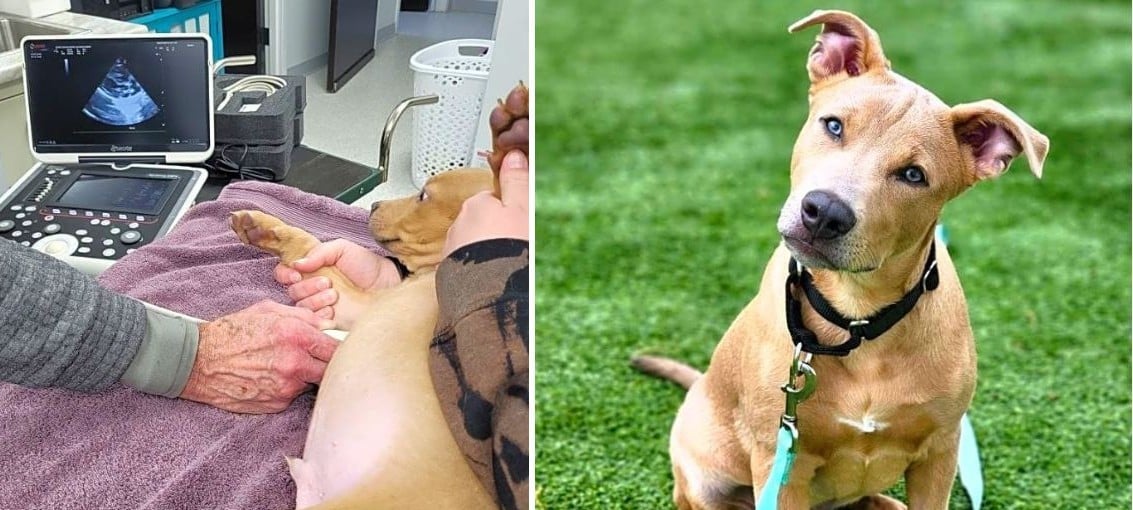Barry Was Born With a Broken Heart, Now He's Fighting for Every Breath