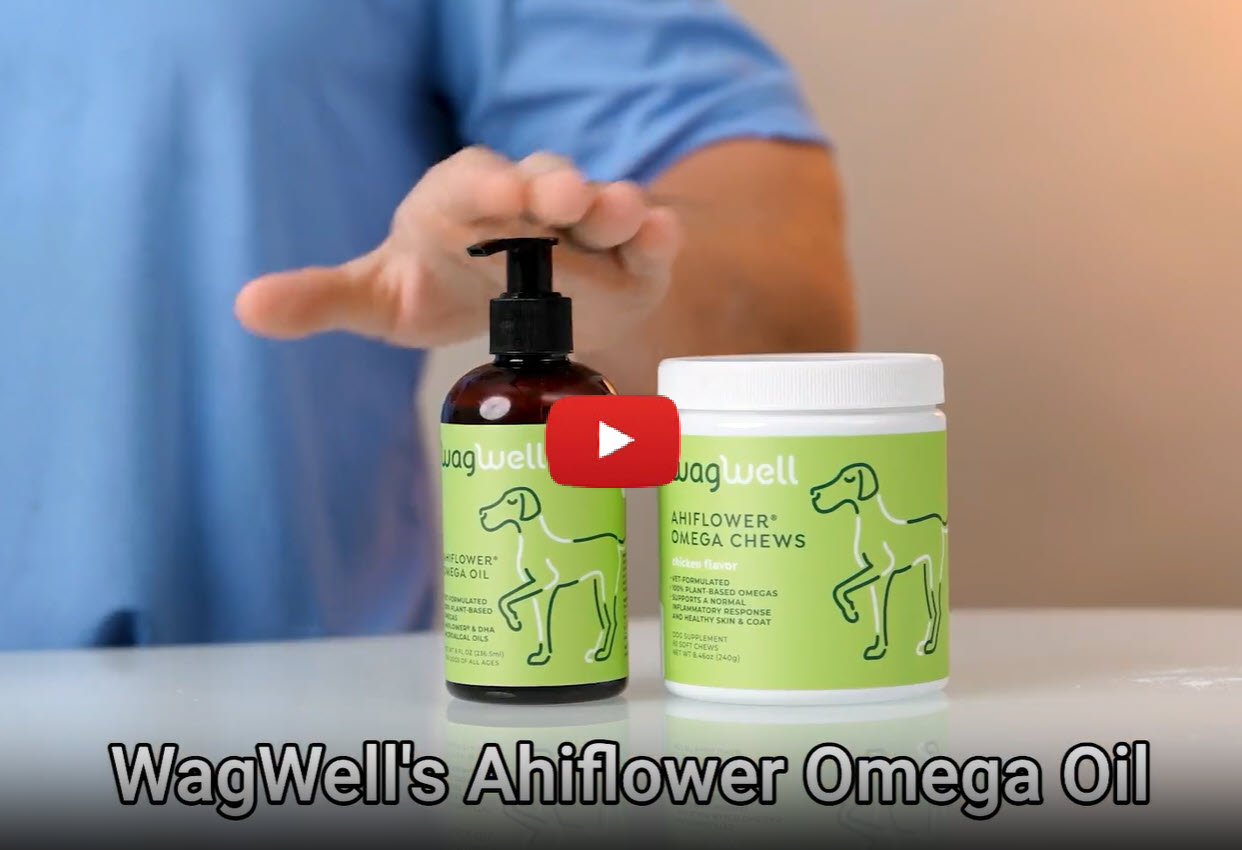 Is your dog not getting enough omega-3 in their diet?