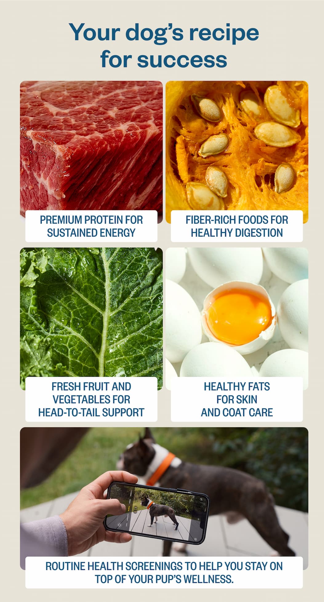 Your dog's recipe for success