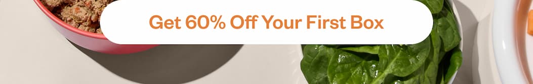 Get 60% off your first box