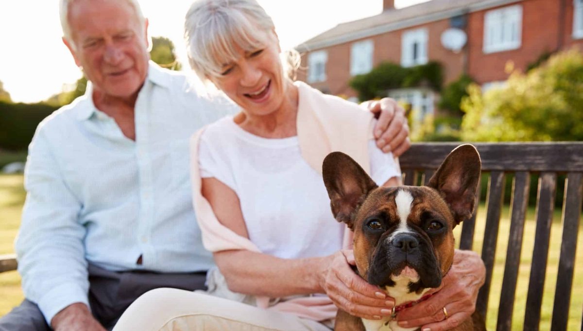 11 Calmest Dog Breeds That Are Perfect For Seniors