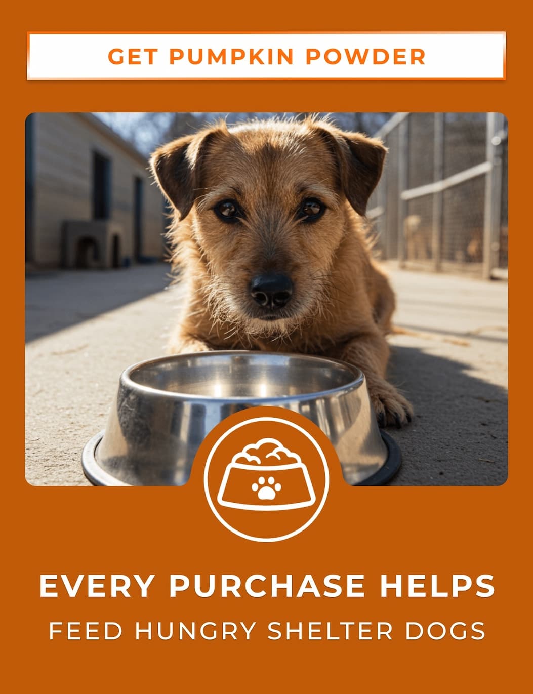 Every Purchase Helps Feed Hungry Shelter Dogs