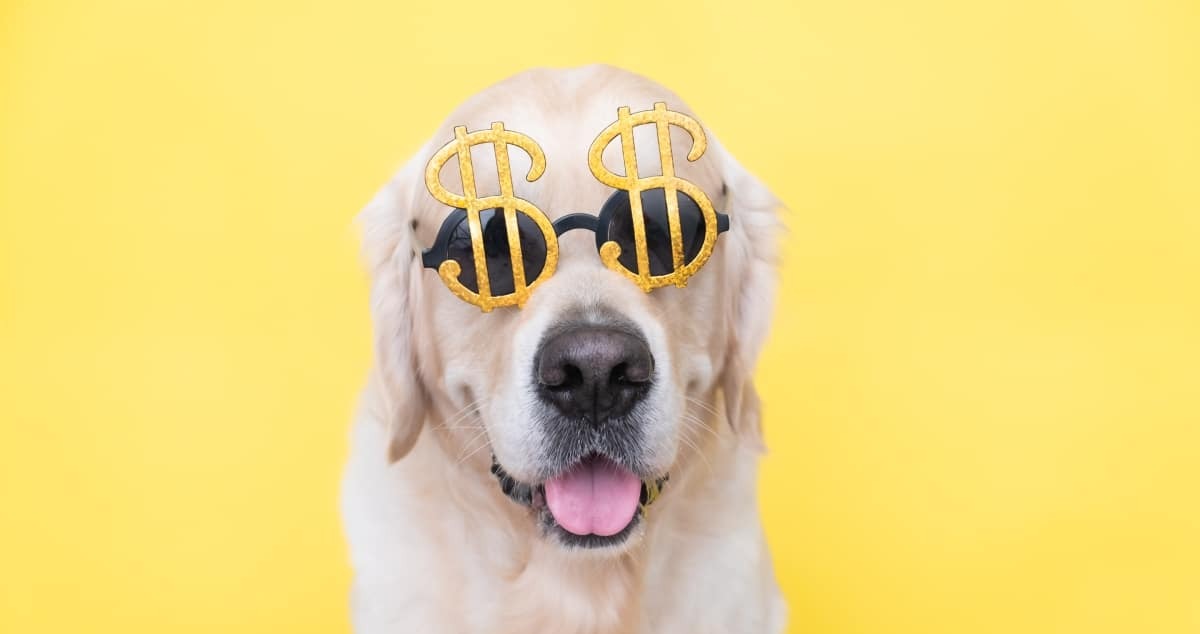 15 Amazon Dog Products Under $15 That Feel Like a Steal