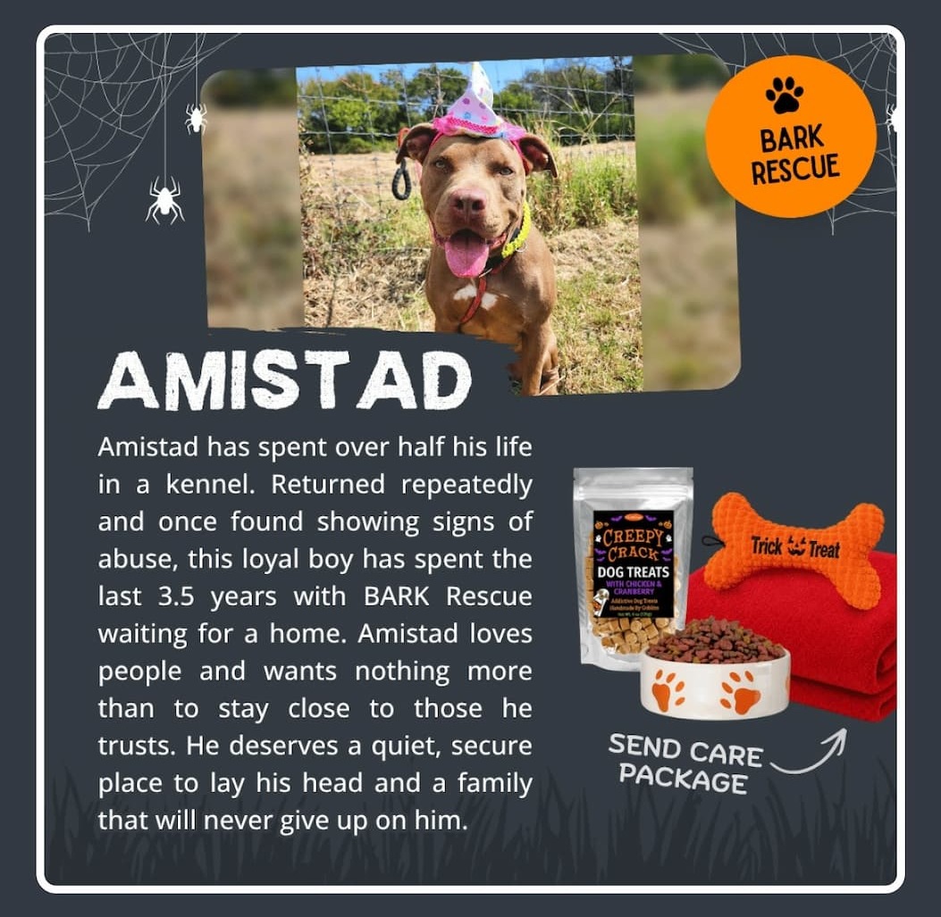 Help a Scared Shelter Dog Feel Safe This Halloween. Turn Haunting Kennel Waits into Halloween Joy.
