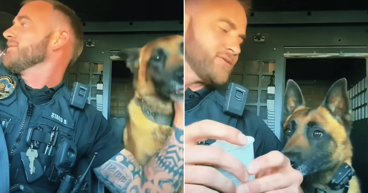 Officer Orders Coffee, But His K9 Partner Has Another Request