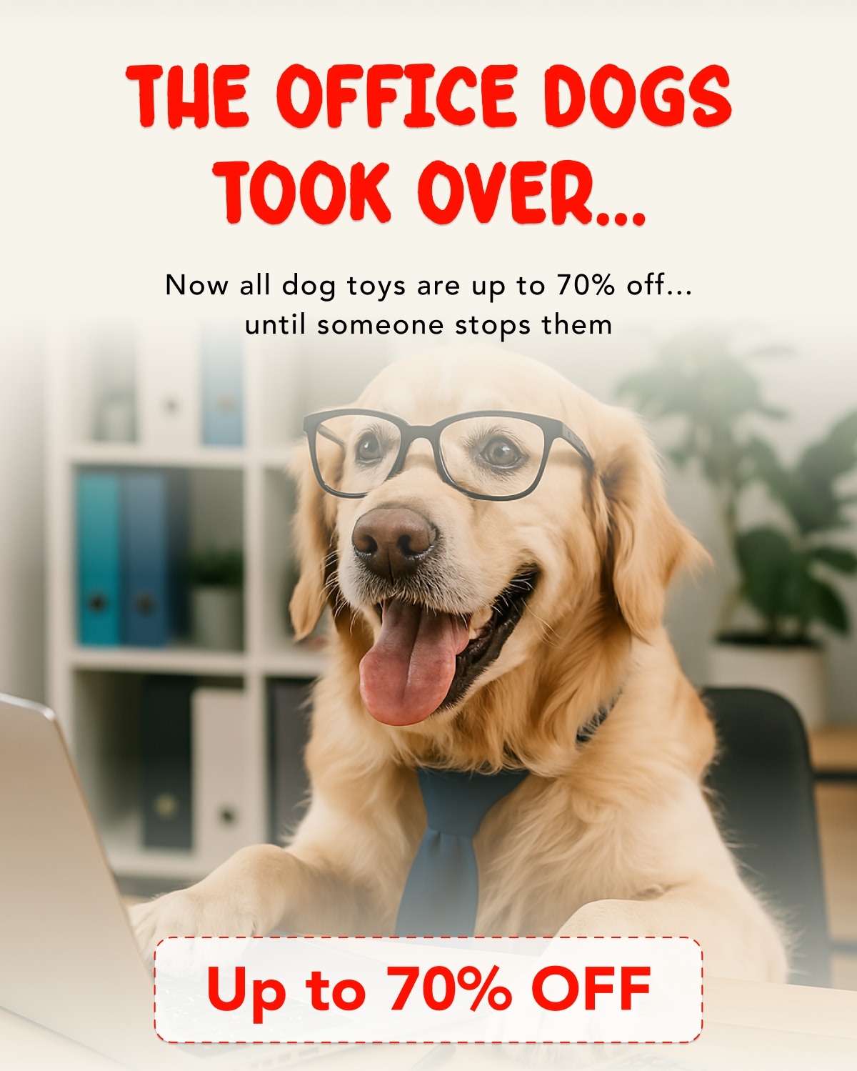 The Office Dogs Took Over… - Now all dog toys are up to 70% off... until someone stops them