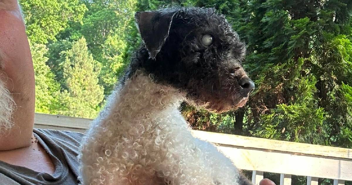 Sweet Blind Boy Who Can’t Chew Has Specialty Food Thanks To YOU