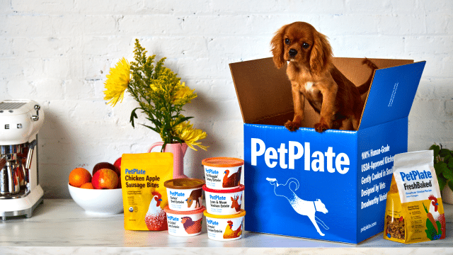 Why do certain dogs live longer? Start your pup's fresh food diet today.