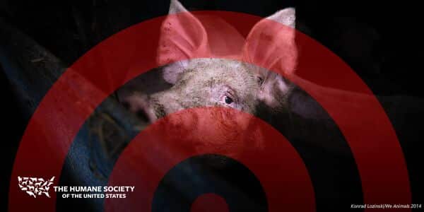 Tell Target: Animals deserve better!