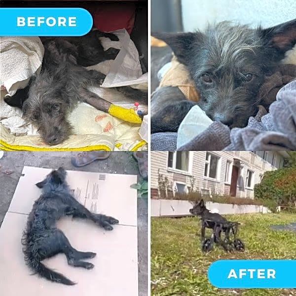 Valerik Was Saved From Horrific Abuse With A Fractured Spine