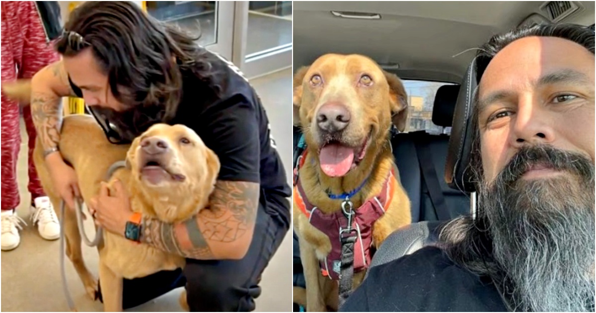 Army Vet That Pledged He’d Never Stop Searching For His Dog Finally Finds Him