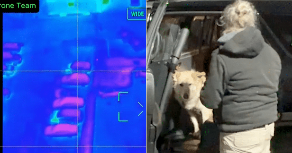 Drone Locates Dog After 20 Lonely Mile Journey