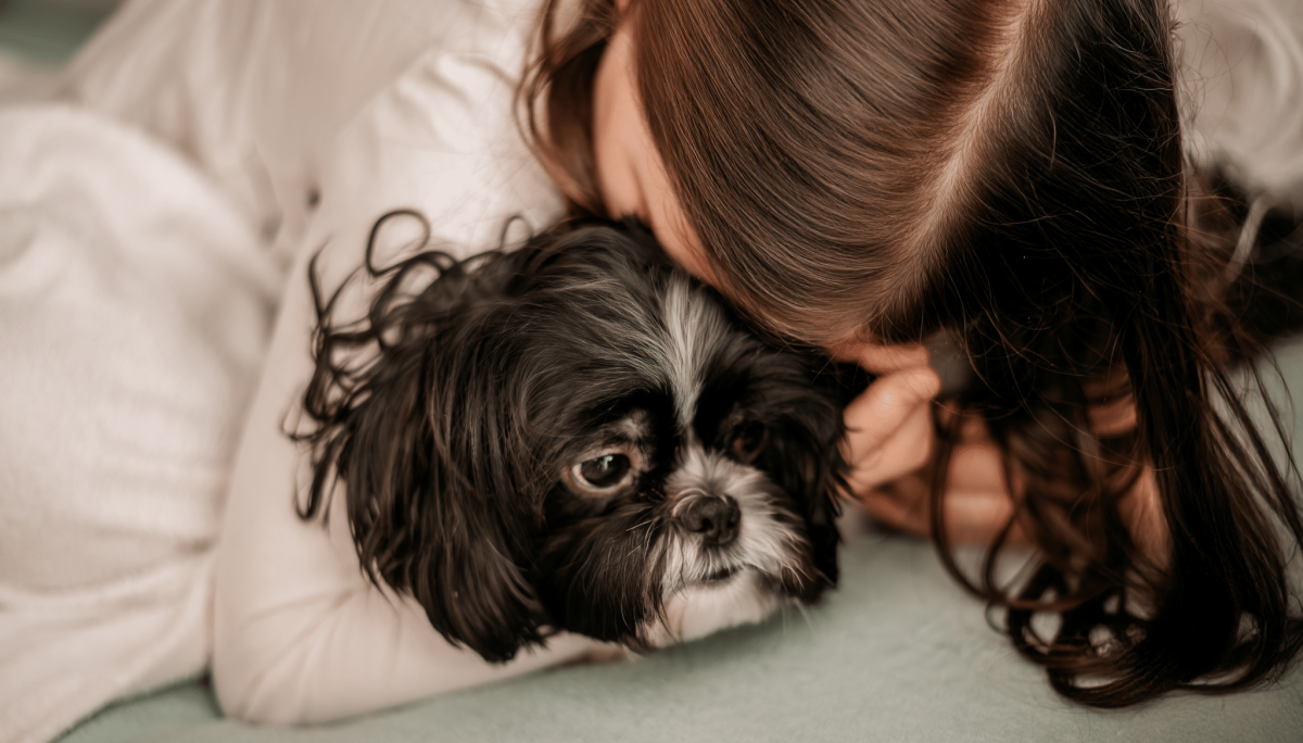 15 Ultimate Dog Breeds That Will Comfort You When You’re Down