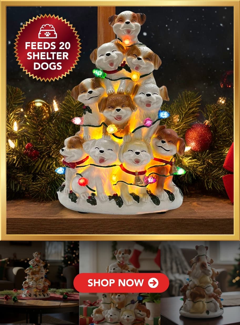 Join VIP, Get The Angel Topper FREE! - Sign up for our Gold Tier Hero VIP Club and get it for free immediately.