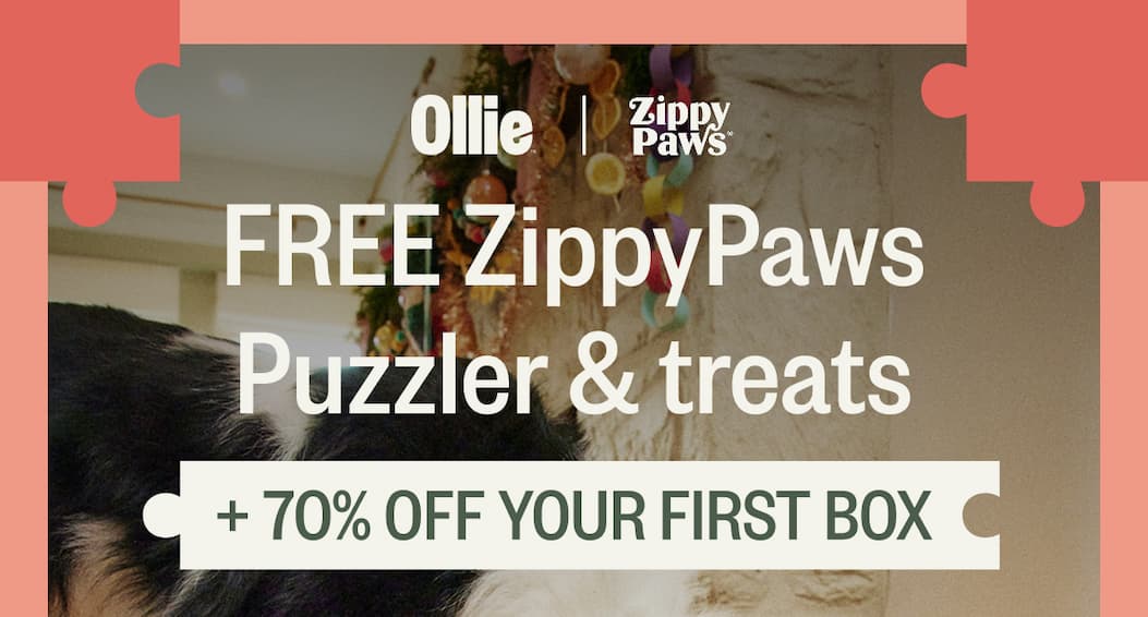 FREE ZippyPaws Puzzler & treats