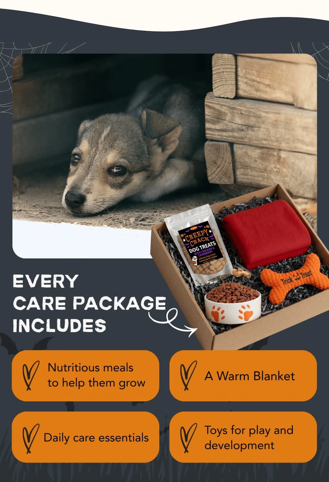 EACH CARE PACKAGE INCLUDES: Nutritious Meals, Yummy Dog Treats (Creepy Crack), A Toy To Play With, and a Warm Blanket.