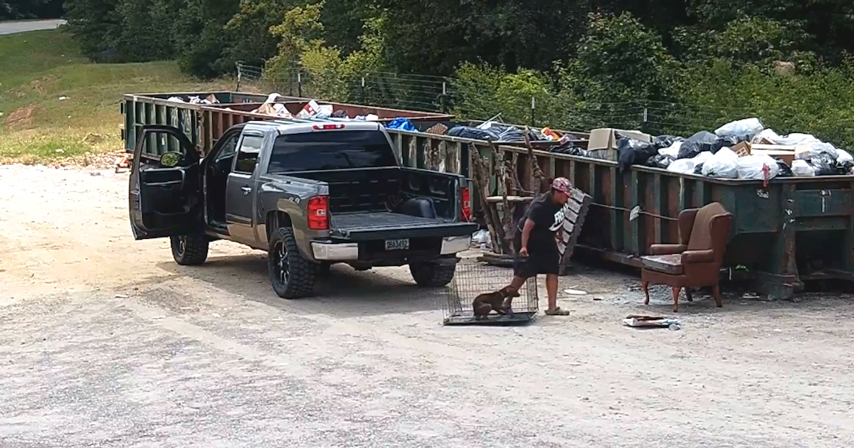 Woman Drags Dog In Crate Over To The Dumpsters To Leave Him For Good