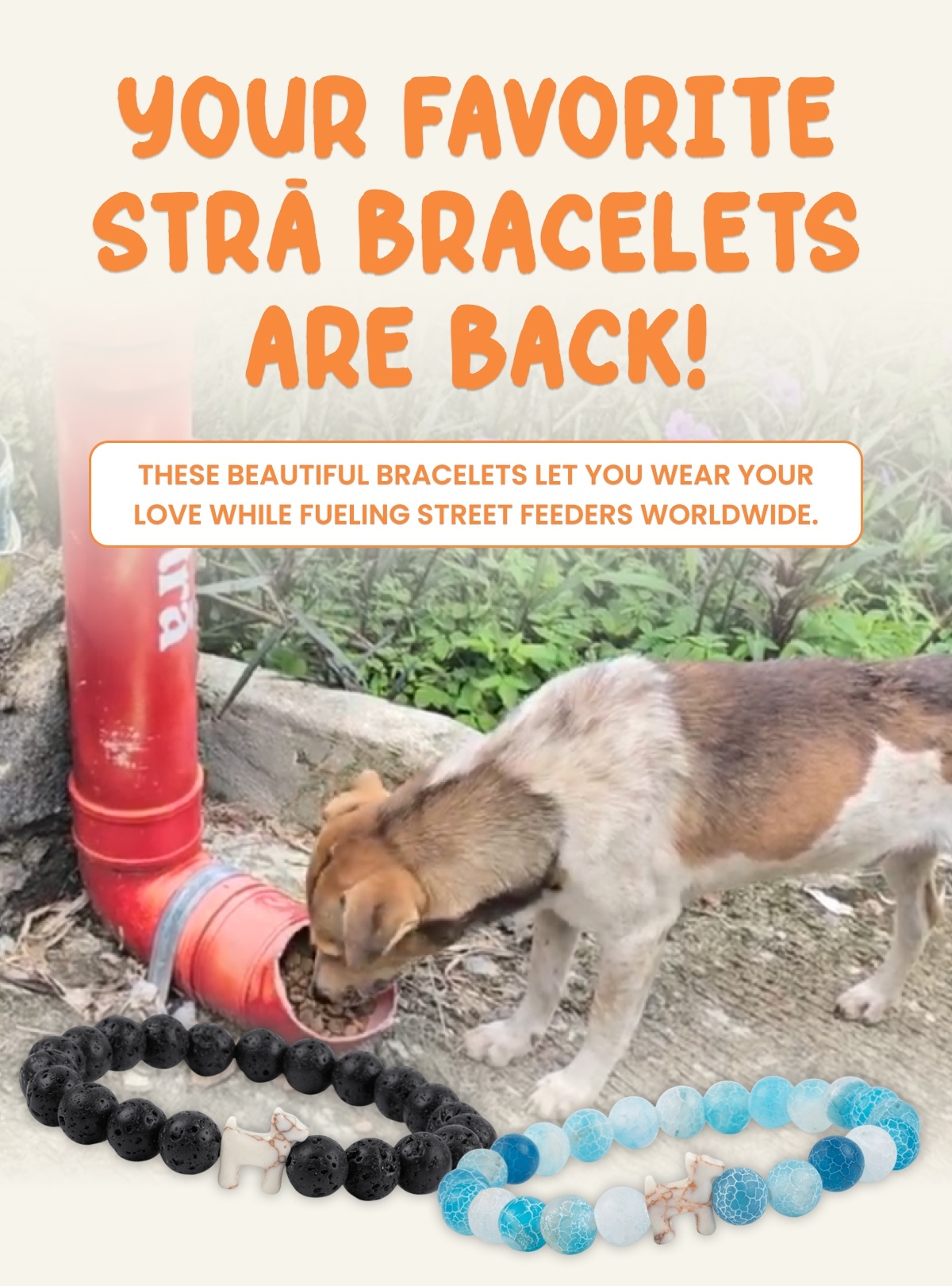 Your favorite STRĀ Bracelets are BACK! - These beautiful bracelets let you wear your love while fueling Street Feeders worldwide.